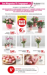 Offre Rosier dans le catalogue Super U du moment à la page 29