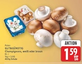 Champignons im aktuellen E center Prospekt