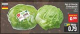 Aktuelle Salat Angebote bei Marktkauf in Nürnberg Aktuelles Eisbergsalat Angebot bei Marktkauf in Nürnberg ab 0,79 €