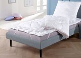Betten-Set Angebote von Schlaf-Gut bei Penny Nürnberg für 15,99 €