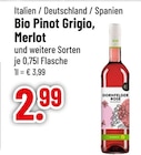 Pinot Grigio, Merlot und weitere Sorten von Bio im aktuellen Trinkgut Prospekt für 2,99 €