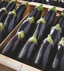 Aubergine - Netto à Nantes Aubergine en promo chez Netto Nantes à 1,29 €