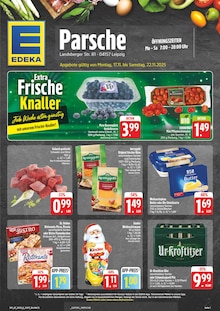 Aktueller EDEKA Prospekt "Wir lieben Lebensmittel!" für Leipzig Aktueller EDEKA Prospekt für Leipzig mit Seiten