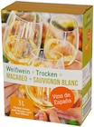 Macabeo Sauvignon Blanc im Penny Prospekt Macabeo Sauvignon Blanc von im aktuellen Penny Prospekt für 3,99 €
