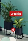 Pflanztopf-Set im Penny Prospekt Pflanztopf-Set im aktuellen Penny Prospekt für 8,99 €