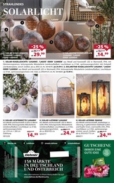 Laterne Angebot im aktuellen Dehner Garten-Center Prospekt auf Seite 16