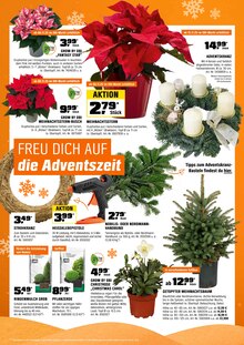 Pflanzen im aktuellen OBI Prospekt (Wiesbaden) Pflanzen im OBI Prospekt "DEIN WEIHNACHTEN MACHBAR MIT OBI." mit 24 Seiten (Wiesbaden)