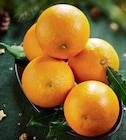 Promo Orange Feuille à 1,59 € dans le catalogue Intermarché à Cavaillon