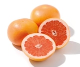 Grapefruit bei Netto mit dem Scottie im Gosen-Neu Zittau Prospekt für 0,59 €