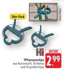 Pflanzenclips bei EDEKA im Walldorf Prospekt für 2,99 €