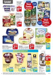 Joghurt im EDEKA Prospekt in Bietigheim-Bissingen Aktueller EDEKA Prospekt mit Joghurt, "Aktuelle Angebote", Seite 6
