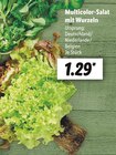 Multicolor-Salat mit Wurzeln im aktuellen Prospekt bei Lidl in Cloppenburg