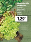 Multicolor-Salat mit Wurzeln Angebot in Cloppenburg Multicolor-Salat mit Wurzeln im aktuellen Prospekt bei Lidl in Cloppenburg
