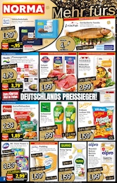 Pudding Angebot im aktuellen Norma Prospekt auf Seite 2
