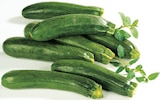 Zucchini Angebote von Bio bei EDEKA Augsburg für 1,79 €