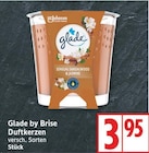 Aktuelle Kerzen Angebote bei EDEKA in Berlin Aktuelles Glade by Brise Duftkerzen Angebot bei EDEKA in Berlin ab 3,95 €
