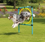 Accessoire Agility pour chien - ZoofarAOOFARI en promo chez Lidl Brest à 11,99 €