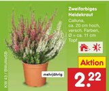 Zweifarbiges Heidekraut Angebote bei Netto Marken-Discount Haltern am See für 2,22 €
