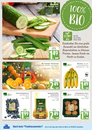 Gurke Angebot im aktuellen Marktkauf Prospekt auf Seite 10