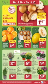 Aktueller ALDI Nord Prospekt mit Blumen, "Aktuelle Angebote", Seite 27