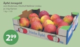Tee im V-Markt Prospekt Äpfel Jonagold im aktuellen V-Markt Prospekt für 2,99 €