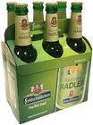 Aktuelles Naturtrübes Radler Angebot bei Penny in Potsdam ab 3,49 €