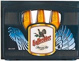 Premium Pils im Angebot bei Netto mit dem Scottie in Kiel Premium Pils Angebote von Hasseröder bei Netto mit dem Scottie Kiel für 16,00 €