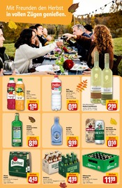 Aktueller REWE Prospekt mit Gin, "Dein Markt", Seite 17