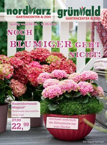 Hortensie im Garten-Center Nordharz GmbH & Co. KG Prospekt "NOCH BLUMIGER GEHT NICHT!" mit 12 Seiten (Kassel)