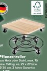 Pflanzenroller im Angebot bei Kaufland in Rastatt Pflanzenroller Angebote bei Kaufland Rastatt für 4,99 €