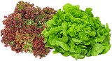 Aktuelles Bunte Salate Angebot bei REWE in Dortmund ab 0,99 €