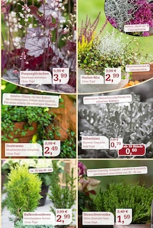 Gartenmöbel im Garten-Center Nordharz GmbH & Co. KG Prospekt "DER HERBST & SEINE FARBEN" mit 16 Seiten (Hildesheim)