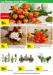 Plante Verte Angebote im Prospekt "Carrefour" von Carrefour auf Seite 30