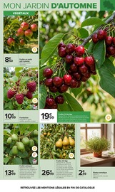 Promos Plante En Pot dans le catalogue "JARDIN" de Carrefour à la page 6 Promos Plante En Pot dans le catalogue "JARDIN" de Carrefour à la page 6