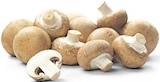 Champignons im REWE Prospekt Braune Champignons im aktuellen REWE Prospekt für 1,49 €