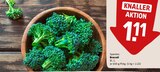 Broccoli Angebote bei REWE Hennef für 1,11 €