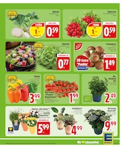 Ähnliche Bonsai Angebote im Prospekt "Wir lieben Lebensmittel." von EDEKA in München Ähnliche Angebote wie Bonsai im Prospekt "Wir lieben Lebensmittel." auf Seite 5 von EDEKA in München