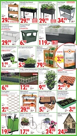 Aktueller Wreesmann Prospekt mit Regal, "DEIN SAISON- & SONDERPOSTENMARKT!", Seite 8