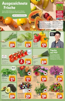 Pflanzen im aktuellen REWE Prospekt (Regensburg) Pflanzen im REWE Prospekt "Dein Markt" mit 30 Seiten (Regensburg)