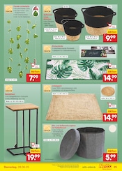 Teppich im Netto Marken-Discount Prospekt in Lemgo Aktueller Netto Marken-Discount Prospekt mit Teppich, "Aktuelle Angebote", Seite 33
