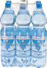 Mineralwasser im Angebot bei Globus-Baumarkt in Saarbrücken Mineralwasser Angebote von Nürburg bei Globus-Baumarkt Saarbrücken für 3,69 €