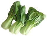 Pakchoi Angebote von REWE Regional bei REWE Viersen für 1,19 €
