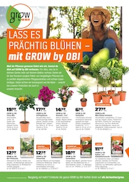 Mixer Angebot im aktuellen OBI Prospekt auf Seite 6