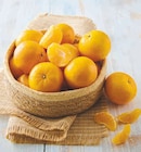 Clémentine à Super U dans Bois-de-Cène Clémentine à Super U dans Bois-de-Cène