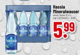 Mineralwasser Angebote von Hassia bei Trinkgut Bad Kreuznach für 5,99 €