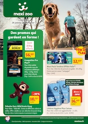 Prospectus Jardineries & Animaleries Maxi Zoo en cours à Champtoceaux et alentours, "Des promos qui gardent en forme !", 12 pages, 28/01/2026 - 04/02/2026 Catalogue Jardineries & Animaleries Maxi Zoo en cours à Champtoceaux et alentours, "Des promos qui gardent en forme !", 12 pages, 28/01/2026 - 04/02/2026