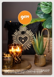 Offre Plante D'intérieur dans le catalogue B&M du moment à la page 35