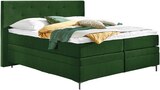 BOXSPRINGBETT Angebote von Ole Gunderson bei porta Möbel Minden für 1.799,00 €
