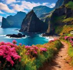 Portugal / Madeira – TOP bewertetes Lieblingshotel direkt am Meer im Angebot bei REWE in Pinneberg Portugal / Madeira – TOP bewertetes Lieblingshotel direkt am Meer Angebote von HolidayCheck bei REWE Pinneberg für 699,00 €