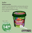 Blühwunder von Euflor im aktuellen V-Markt Prospekt für 14,99 €